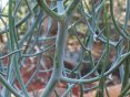 m5304549.jpg - 