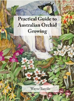 Practical Guide To Australian Orchid Growing