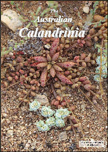 Australian Calandrinia