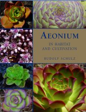 Aeoniums in Habitat and Cultivation