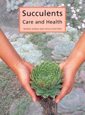 Succulents Care and Health