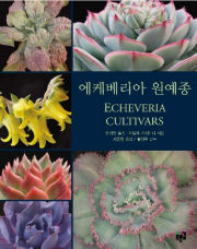 Echeveria Cultivars - Korean