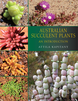 Australian Succulent Plants