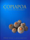 Copiapoa In Their Environment