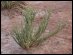 A9151050.jpg - 