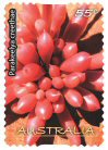 Stamp 10.1