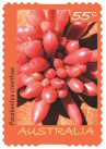 Stamp 9.1