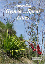Australian Gymea and Spear Lilies