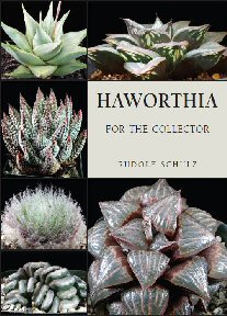 Haworthia for the Collector